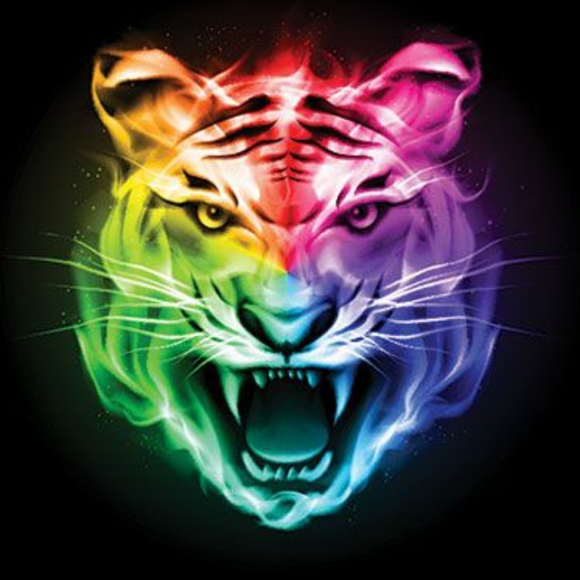 Meet your Posher, Morgan - Picture 2 of 3